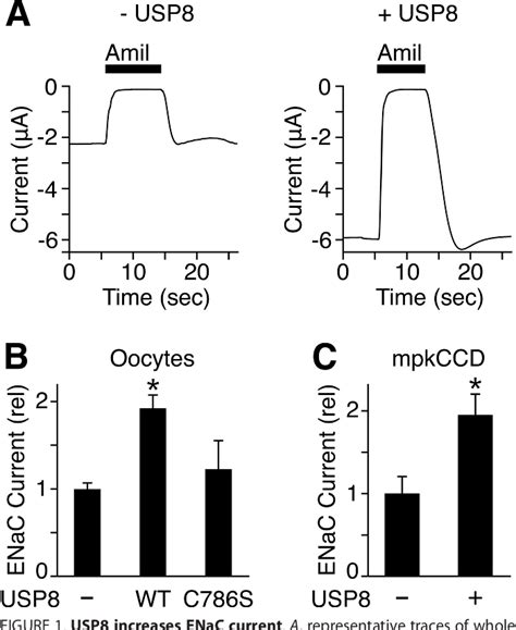 Figure From Ubiquitin Specific Peptidase Usp Regulates Endosomal