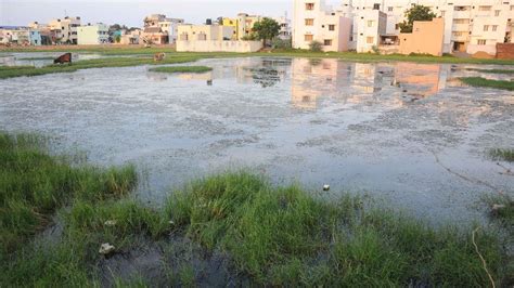 All Osr Lands In Chennai To Get Sumps To Conserve Rainwater And Mitigate Floods The Hindu