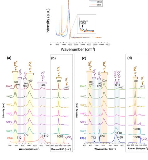 Atr Ftir And Raman Spectra Of A B Es T And C D Es U Before And