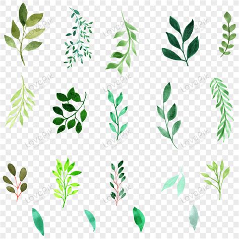 Watercolor Greeny Leaves Png Transparent Background And Clipart Image