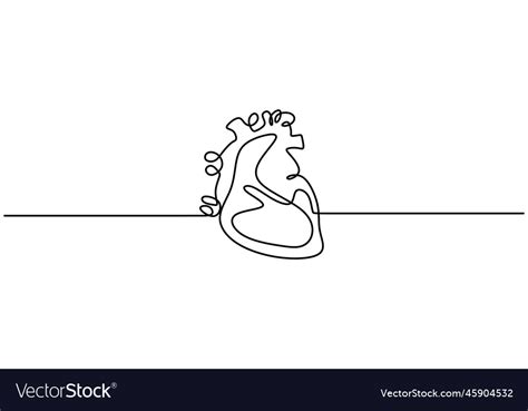 Single Continuous Line Art Anatomical Human Heart Vector Image