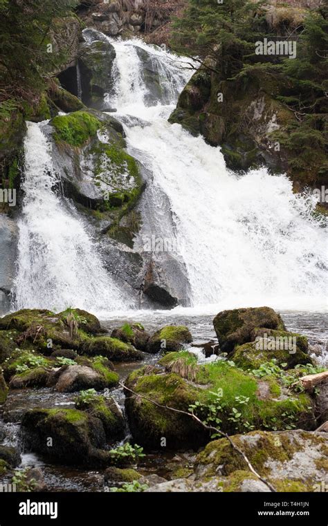 Triberg Falls Triberger Wasserfalle Waterfall In Spring Triberg