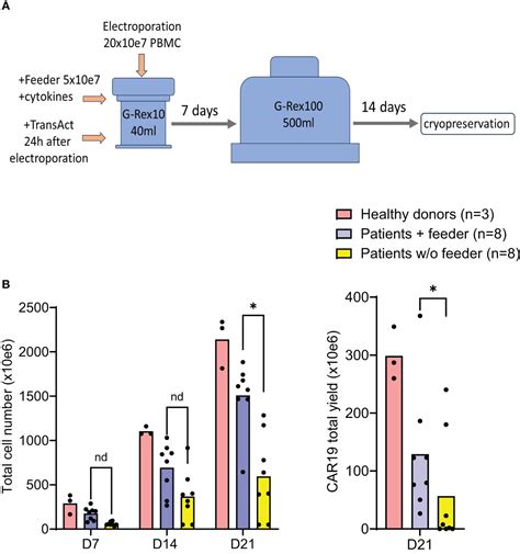 Frontiers Good Manufacturing Practice Grade Generation Of CD19 And