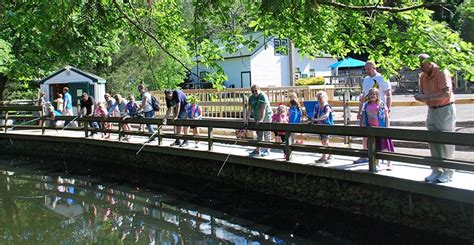 About Us Cold Spring Harbor Fish Hatchery And Aquiarium