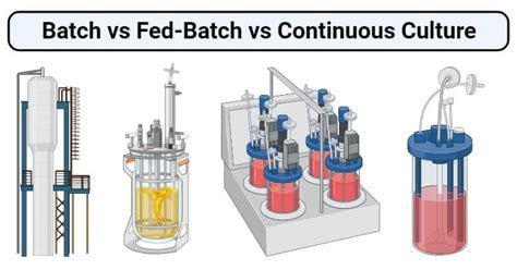 Batch vs Fed-Batch vs Continuous Culture- 20 Key Differences