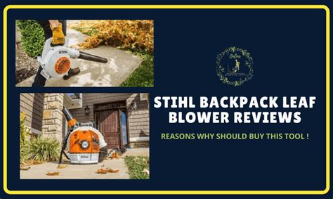 Stihl Backpack Leaf Blower Reviews 2022 Buyers Guide Noise Suppression Leaf Blower Power