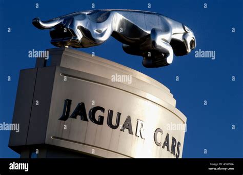 Jaguar car emblem hi-res stock photography and images - Alamy