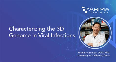 Characterizing The 3D Genome In Viral Infections Arima Genomics