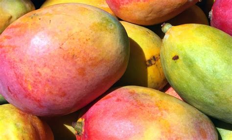 Beneficios De Comer Mango