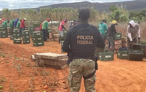 Força tarefa resgata 337 pessoas em condição análoga à escravidão