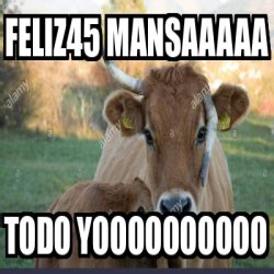 Meme Personalizado Feliz45 Mansaaaaa Todo Yoooooooooo 32459291