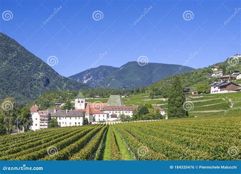 Splendid Vineyards Of The Abbey Of Novacella With Ancient Alpine