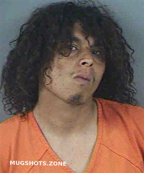 QUINONES RAUL ANGEL JR 08 24 2023 Collier County Mugshots Zone