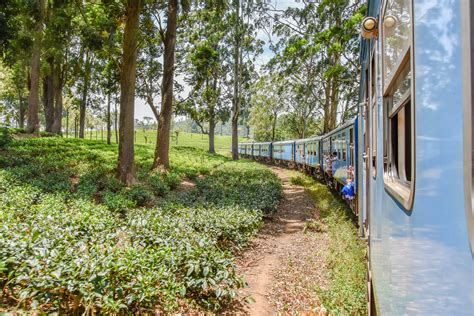 Sri Lanka Ceylon Railway Train To Nanu Oya Nuwara Eliya Flickr