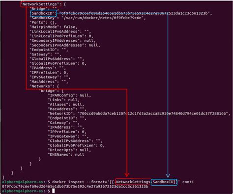 Commandes Docker Conteneurs Images Modes Interactif vs Détaché