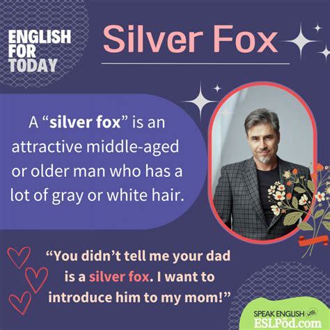 What Does “Silver Fox” Imply? - Learning language online