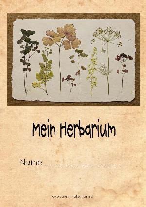 Bildergebnis F R Herbarium Deckblatt Herbarium Vorlage Gestalten