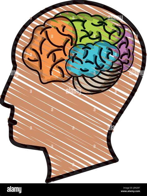 Drawing Head Profile Brain Stock Vector Image And Art Alamy