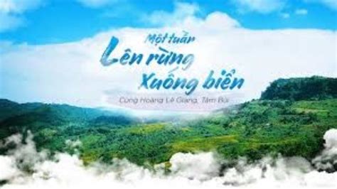 BẠN THÍCH HỢP LÊN RỪNG HAY XUỐNG BIỂN ZenQuiz