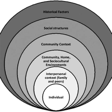 An Adapted Socio Ecological Model Helped Shape The Topic Guide