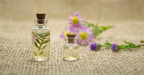 Ardor En La Vagina Remedios Naturales