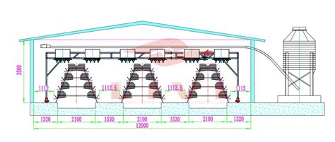 10 000 Chicken Layers House Design Plan Poultry Layer Farm Business