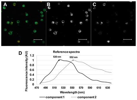 Molecules Free Full Text Spectrally And Time Resolved Fluorescence