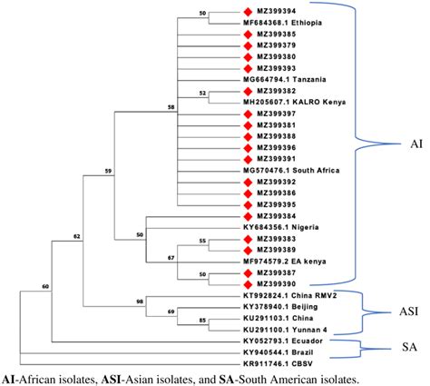 Phylogenetic Tree Of Partial Nucleotide Sequence Of P1 And P2 Proteins