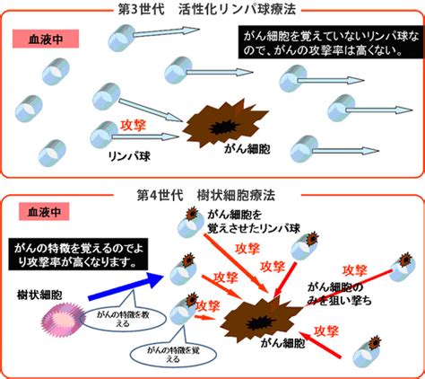 がん免疫療法とは 免疫療法 当施設のがん治療 東京ミッドタウン先端医療研究所