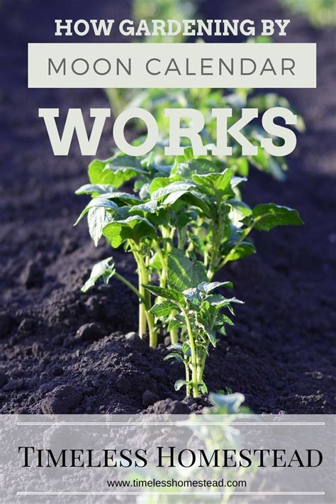 How Gardening By Moon Calendar Works Garden Moon Garden Biodynamic