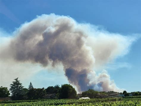 Incendies En Gironde Ce Que Lon Sait De Ces Feux Qui Ont Dévasté Des