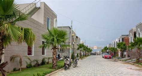 3 BHK House 1250 Sq Ft For Sale In Basant Avenue Ludhiana REI895590