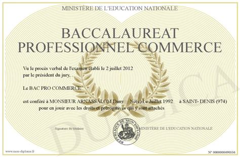 Baccalaureat Professionnel Commerce