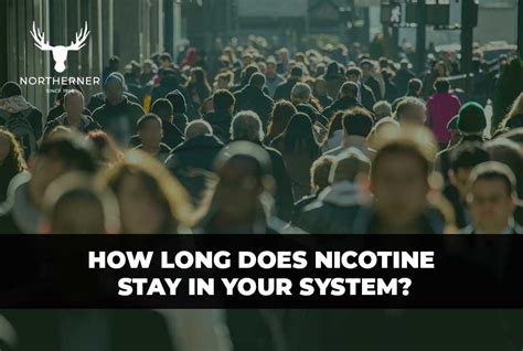 How Long Does Nicotine Stay In Your System An Expert Guide