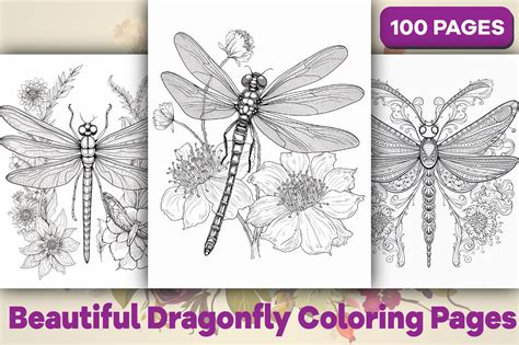 Beautiful Dragonfly Coloring Pages 100 Graphic By Kohinoor Design