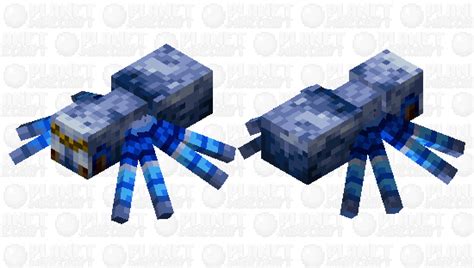 Cobalt Blue Tarantula Cyriopagopus Lividus Minecraft Mob Skin