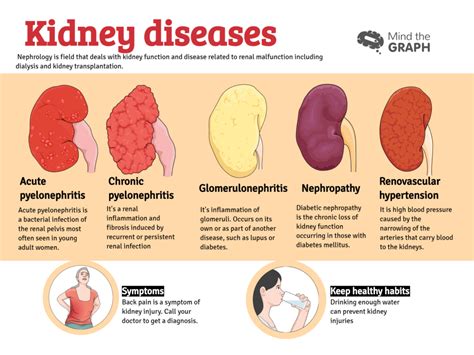 Urinary System Diseases Infographics To Understand Mind The Graph Blog