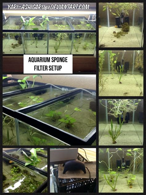 Aquarium Sponge Filter Setup by Yari-Ashigaru on DeviantArt