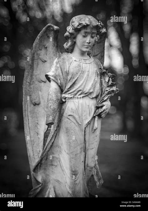 Cemetery Angel Statue Phillip Roberts Stock Photo Alamy