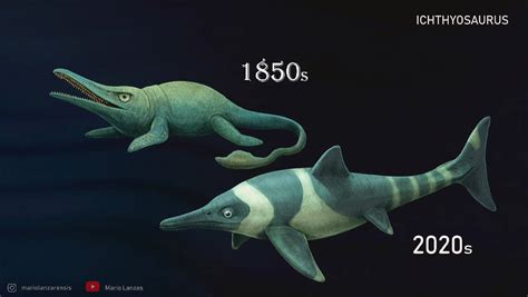 ICHTHYOSAURUS then vs now by MarioLanzas on DeviantArt