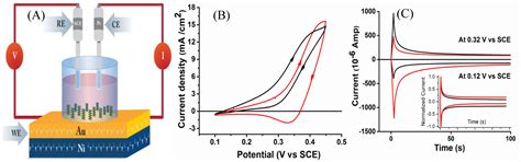 Spin Dependent Transport Through Chiral Molecules Studied By Spin