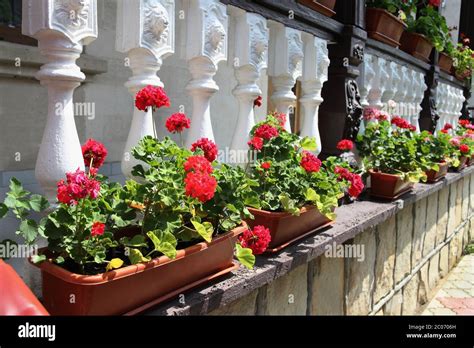 Flower Decorated Terrace Of A House At Moldova Stock Photo Alamy