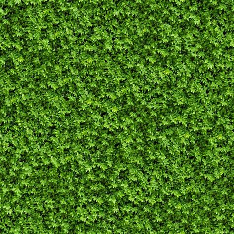 Green Bush. Seamless Texture. — Stock Photo © tashatuvango #24970517