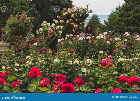 International Rose Test Garden Portland Oregon - coneinitalia