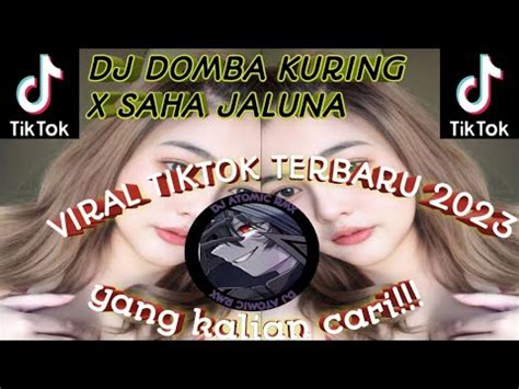 DJ DOMBA KURING X SAHA JALUNA VIRAL TIK TOK TERBARU YouTube