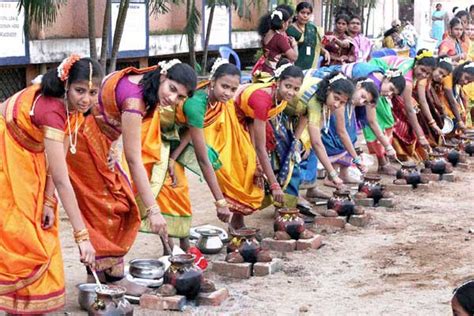 Pongal Festival 2018: Pongal Celebrations in India