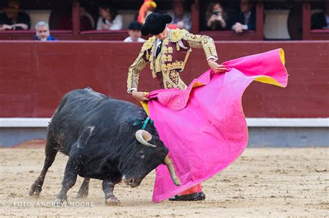 Del Toro Al Infinito Mundo Toro Tv Una Pandilla De Cafres Por Pla