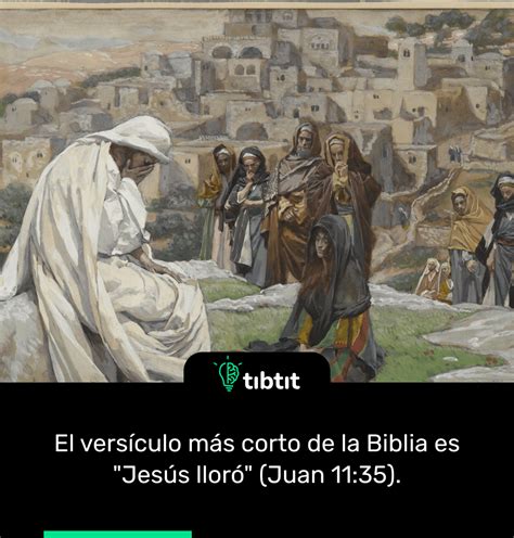 Sab As Que El Vers Culo M S Corto De La Biblia Es Curiosidades