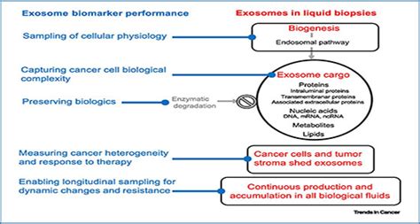 Exosomes As A Multicomponent Biomarker Platform In Cancer Exosome RNA