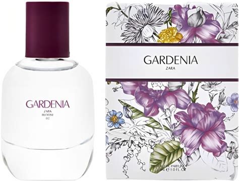 Amazon Zara Nude Bouquet Intense Women Perfume Edp Eau De Parfum
